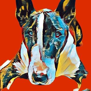 Meet your Posher, Donna